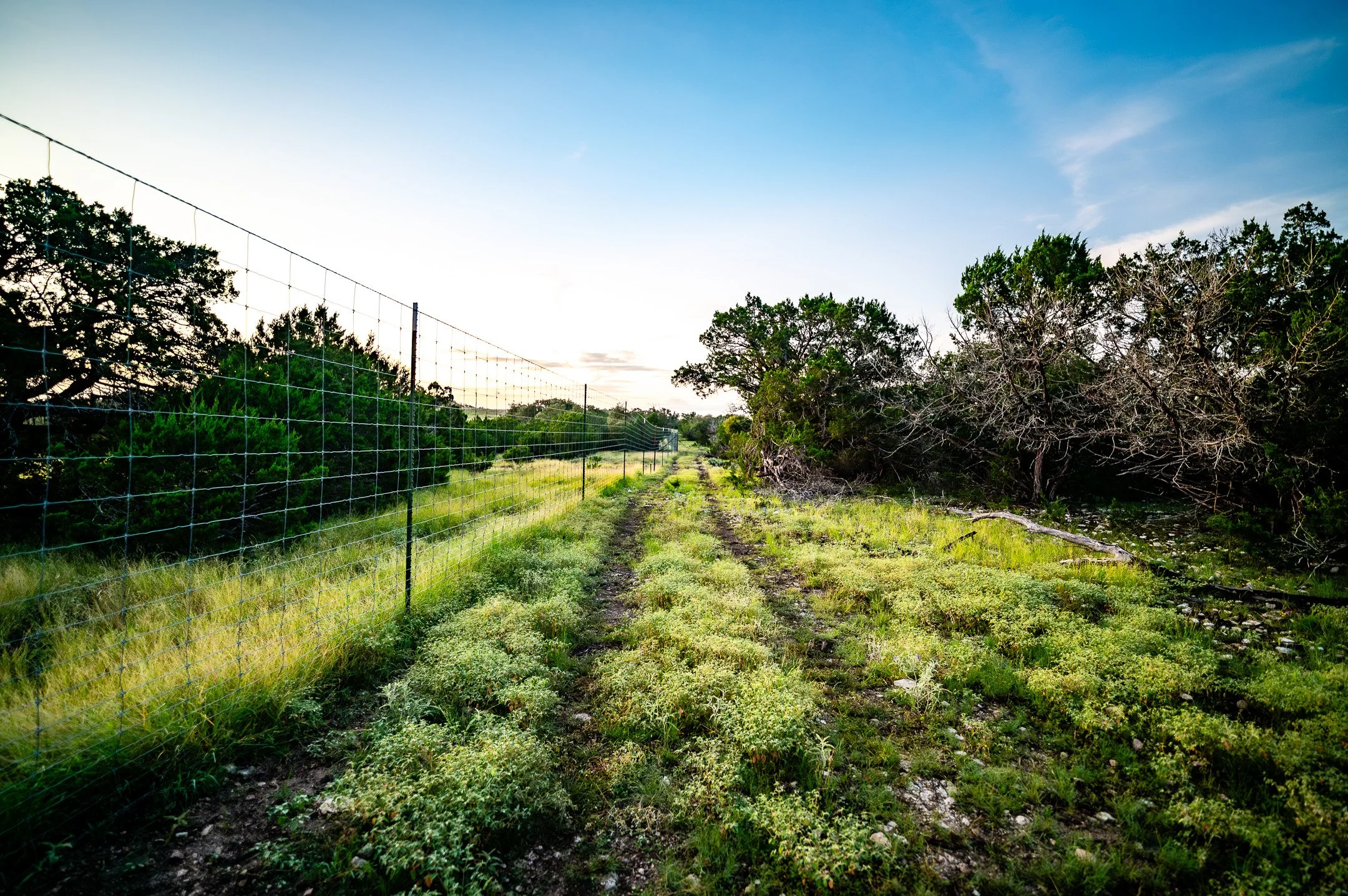JGs_Blacktop_Ranch_FenceLine-3-2.jpg