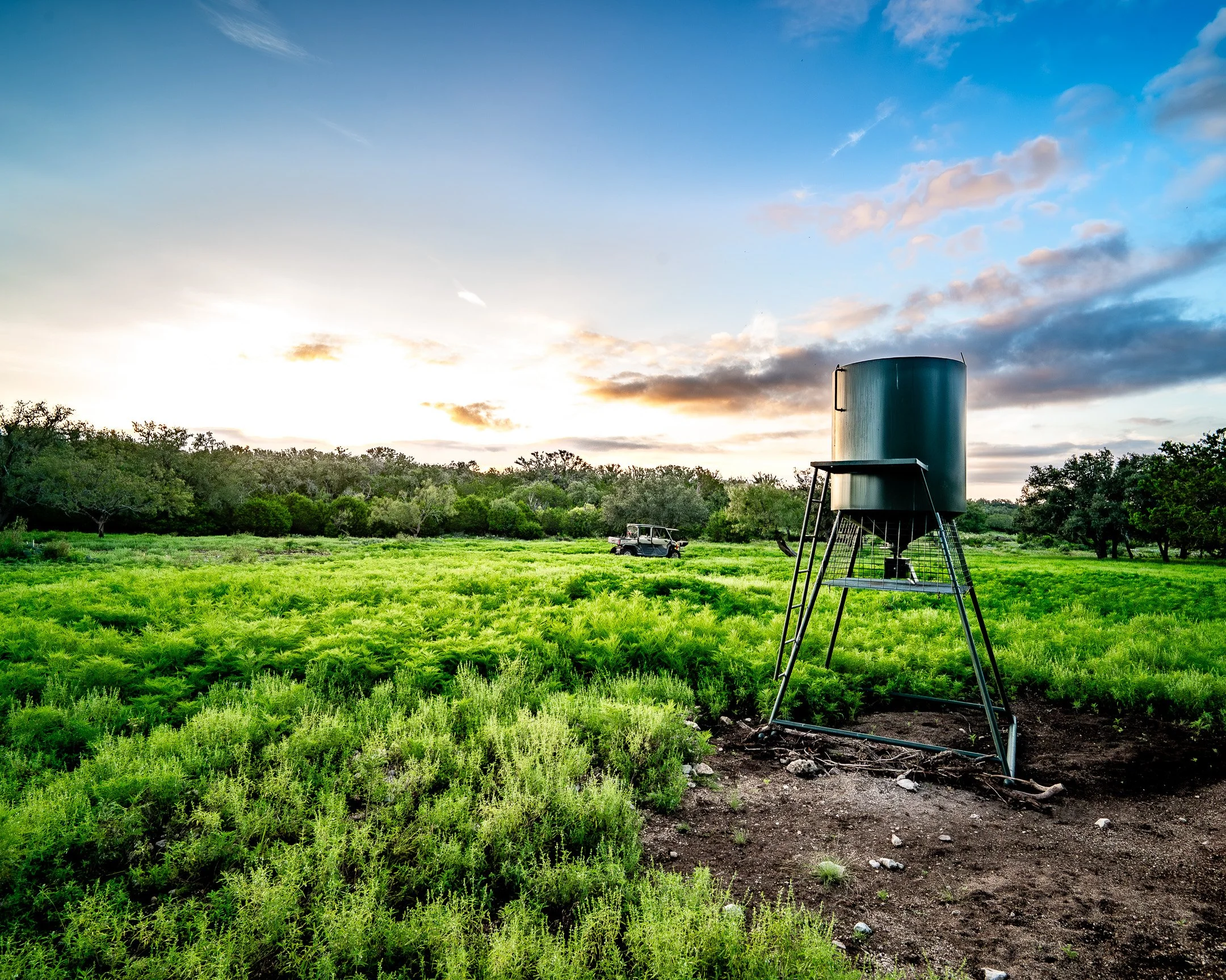 JGs_Blacktop_Ranch_Feeders-03.jpg