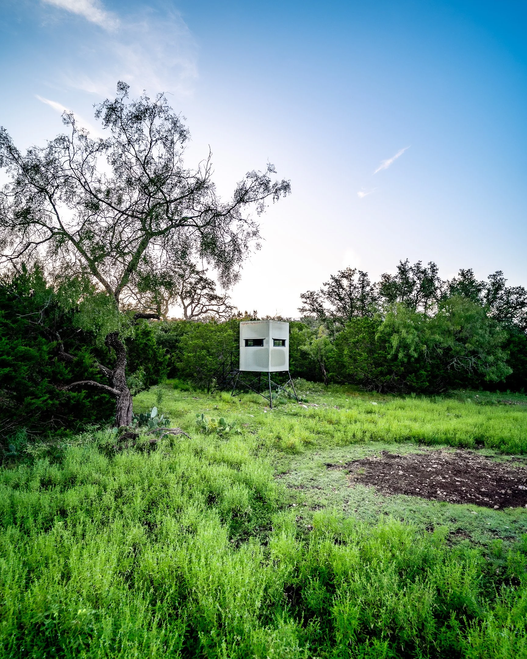 JGs_Blacktop_Ranch_Blind-02.jpg