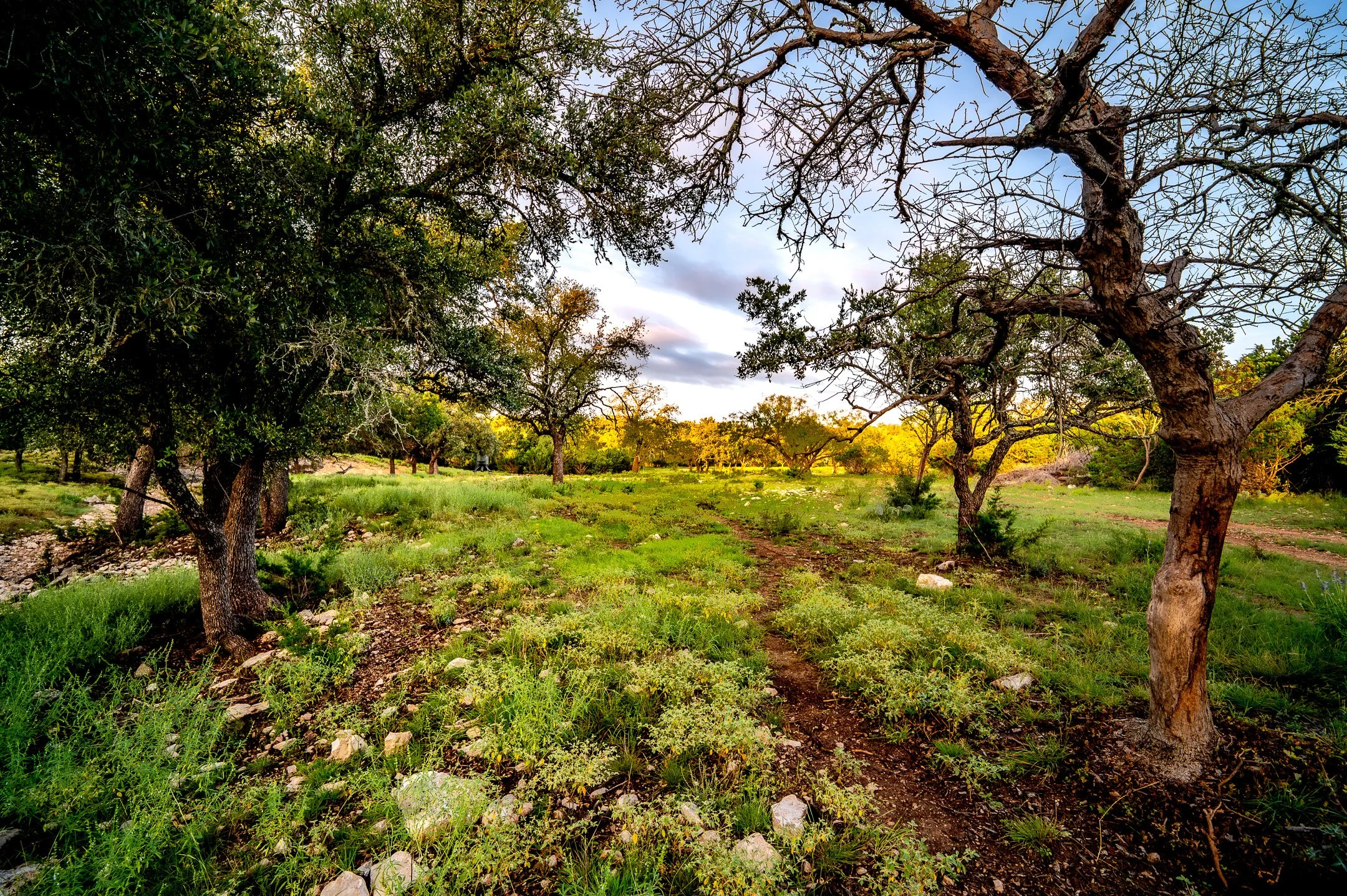 JGs_Blacktop_Ranch_Terrain-12.jpg