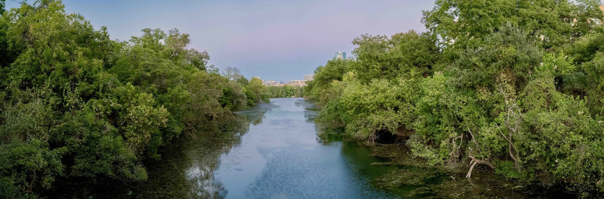 A river flowing through dense green trees on both sides with a city skyline in the background.