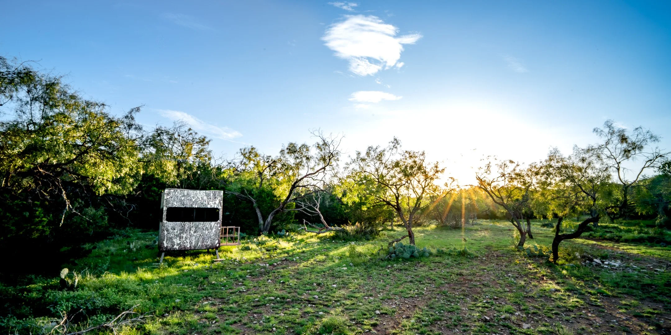 JGs_Blacktop_Ranch_Blind-09.jpg