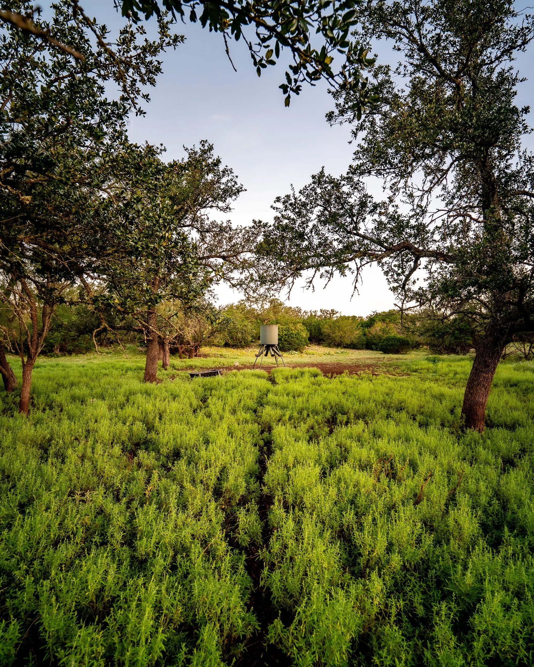 JGs_Blacktop_Ranch_Feeders-02.jpg