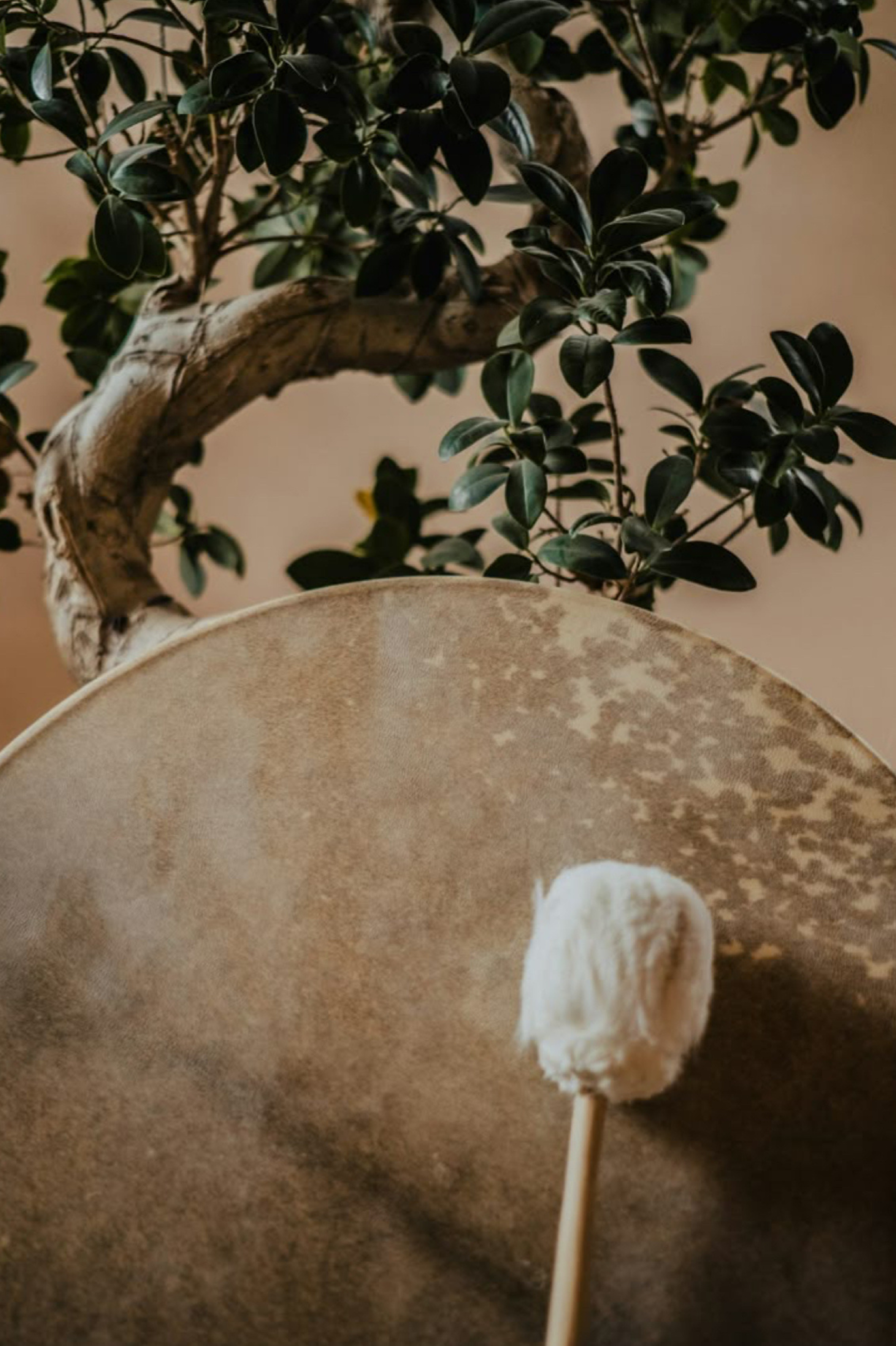 Finding Your Voice Through the Drum