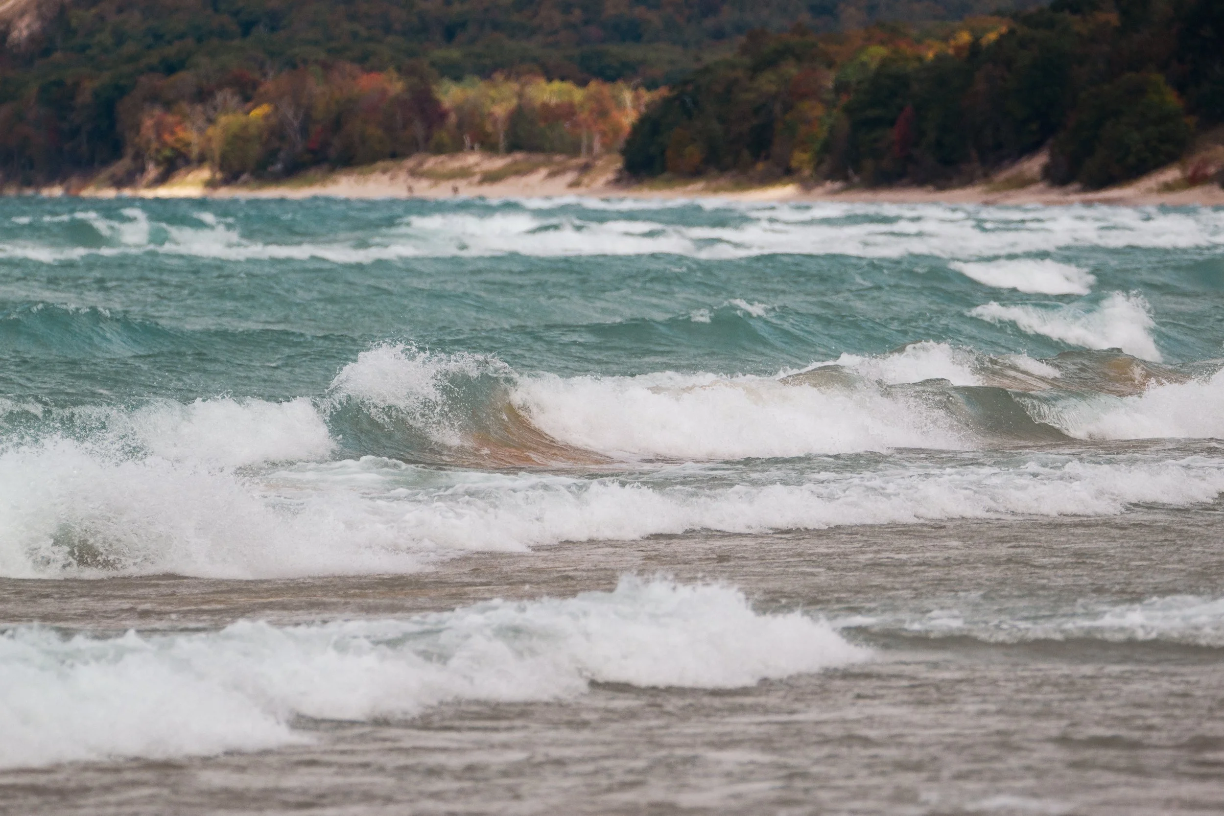 DSC_0907.jpg
