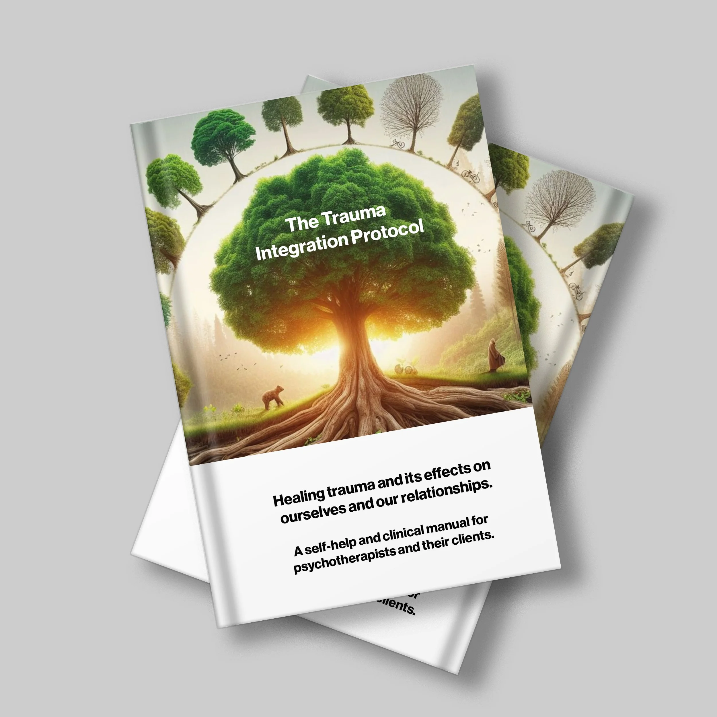 Book Cover .jpg