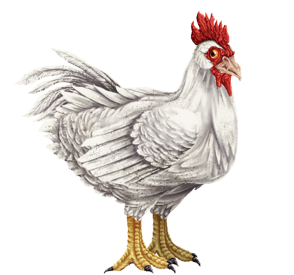 chicken_idle.gif
