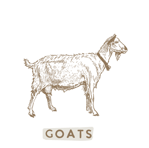 services-goats.png