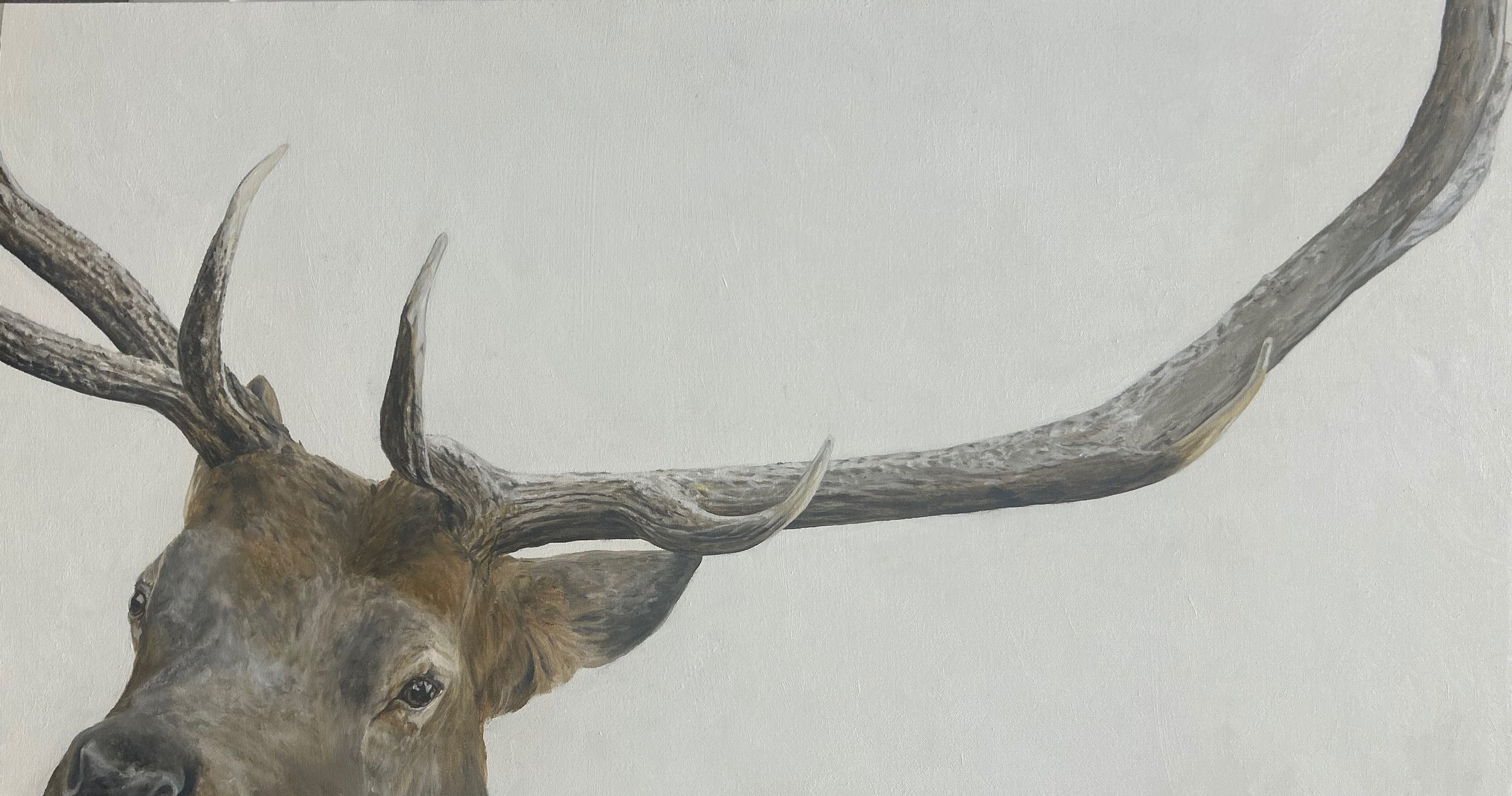 Not Titled, Oil on Canvas, 28"x48"