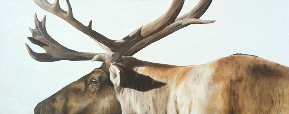 Not Titled, Oil on Canvas, 18"x36"