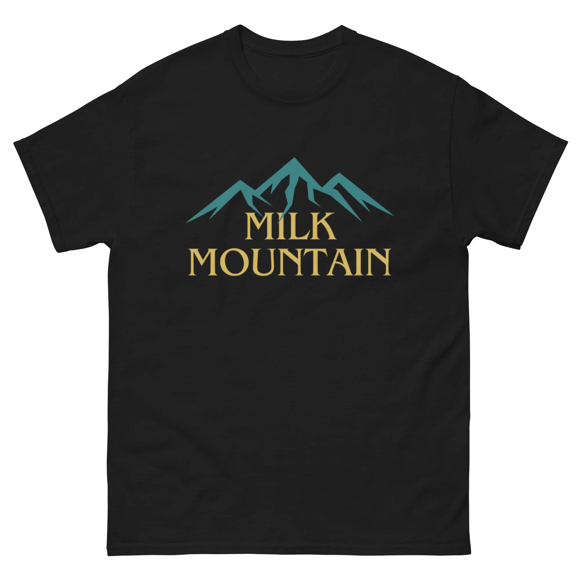 unisex-classic-tee-black-front-67cd394ac6d33.jpg