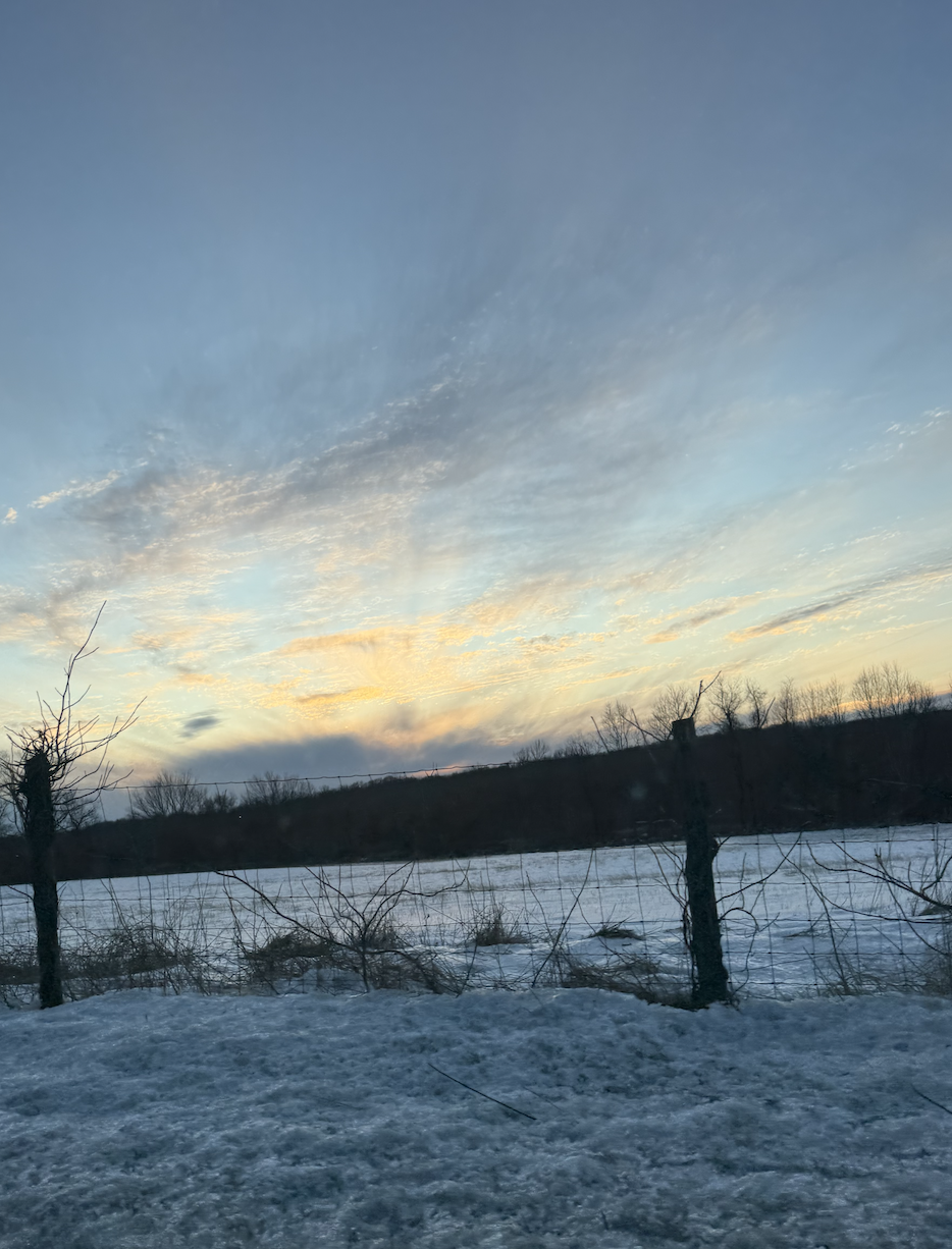 Screenshot 2025-02-20 at 4.18.59 PM.png