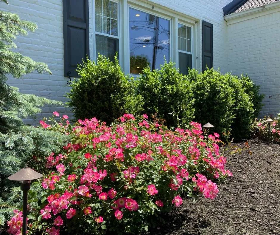 services_plantings_z18.jpg