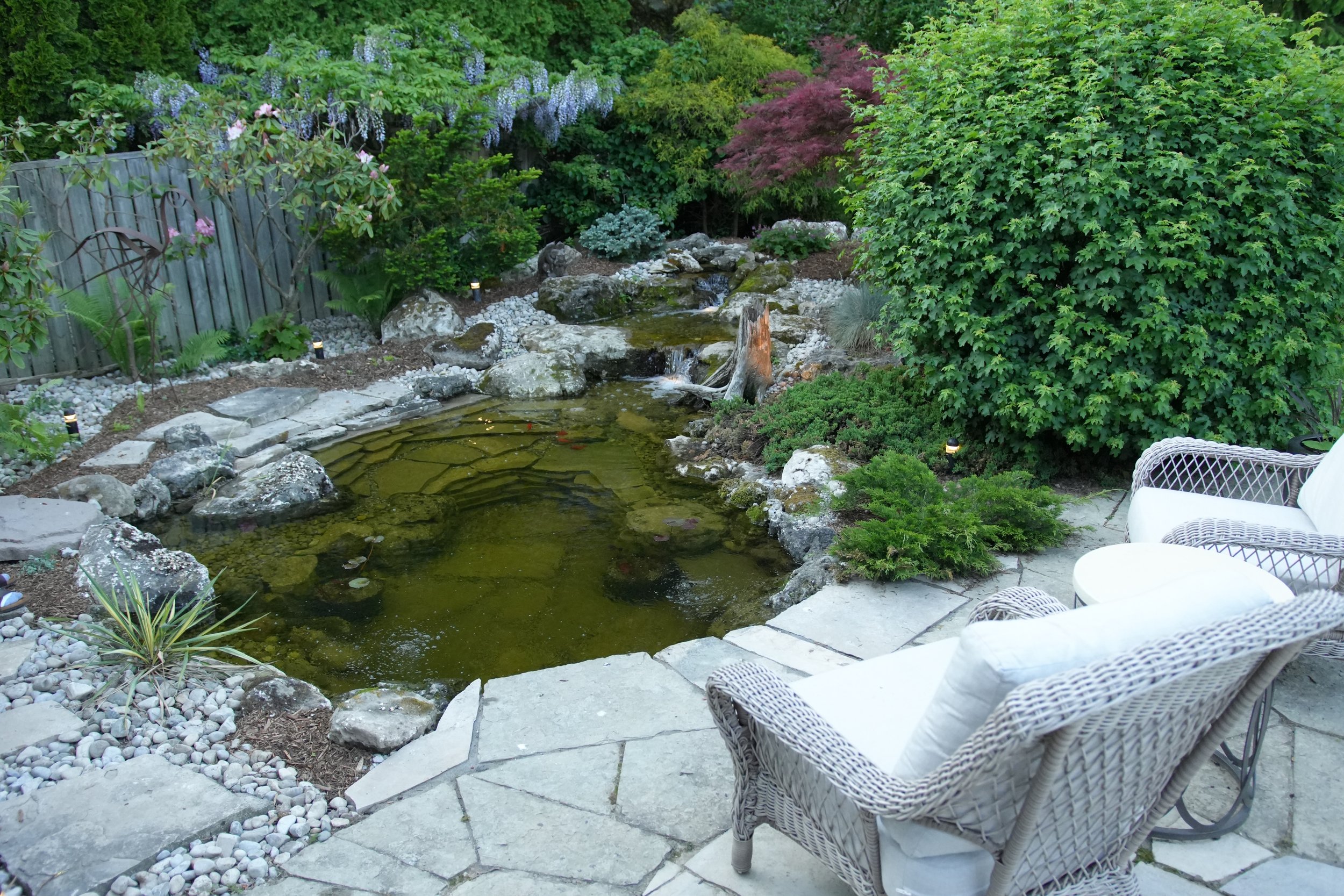 5 Stunning Water Feature Ideas for 2026