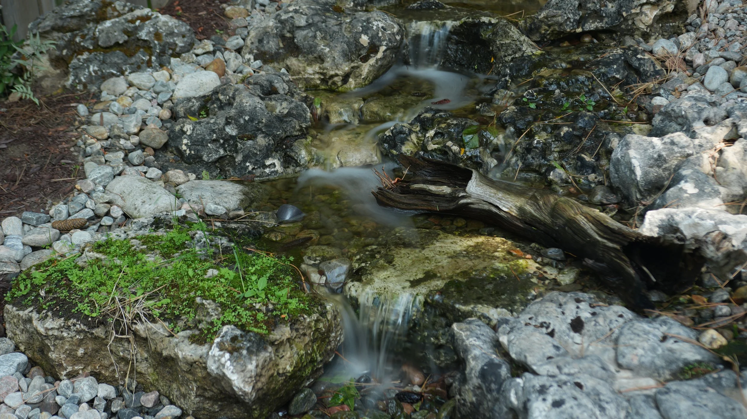 DSC09574.JPG