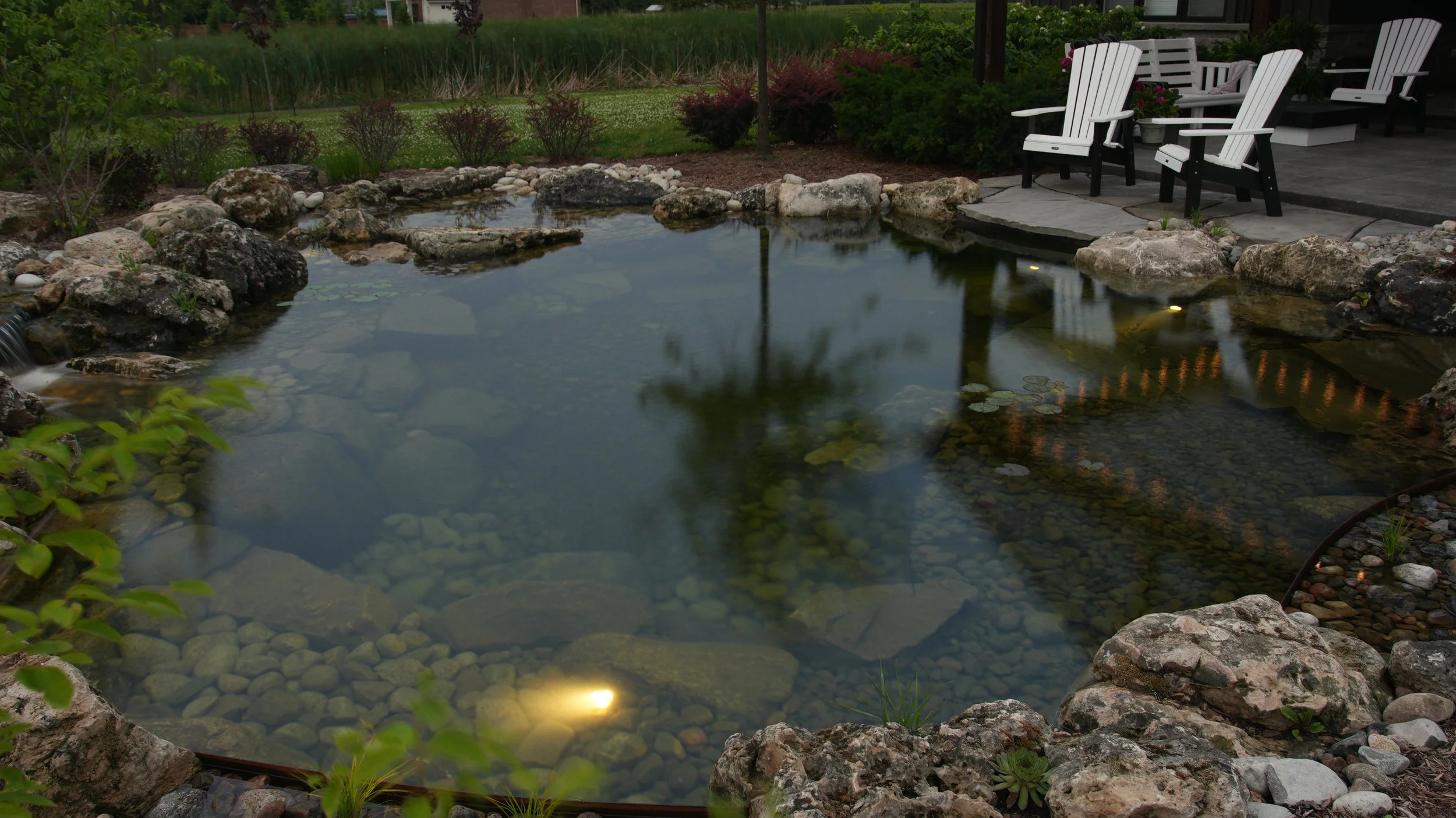 DSC09053.JPG