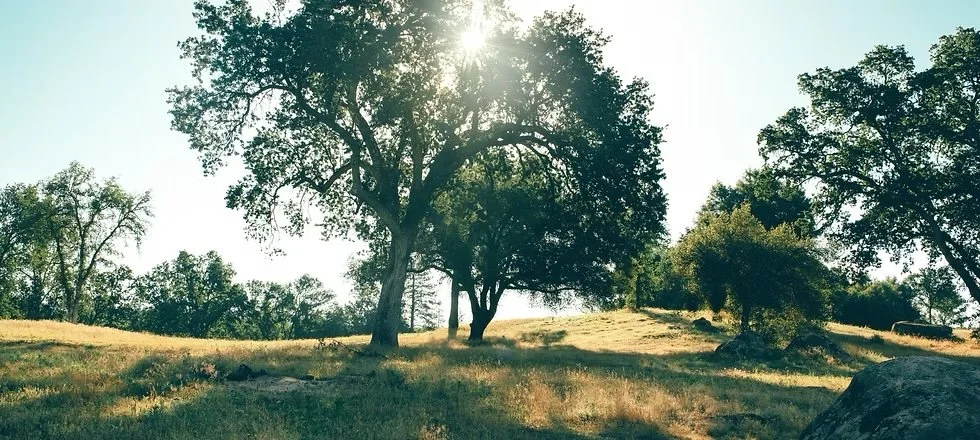 44e2fd_674197d2463d4895841a1a28e41e4e3f~mv2_d_5616_2954_s_4_2 copy.jpg