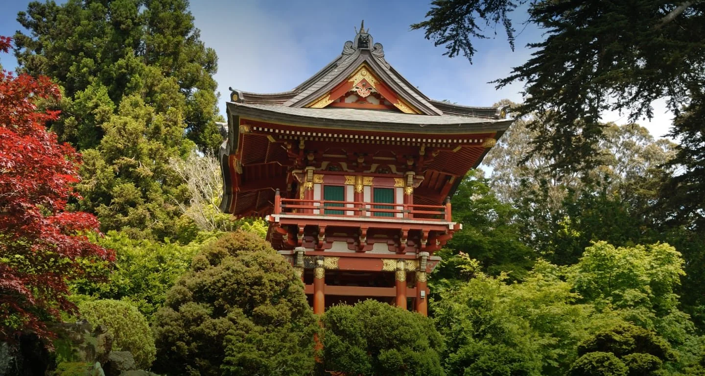 Adult Field Trip: Japanese Tea Garden