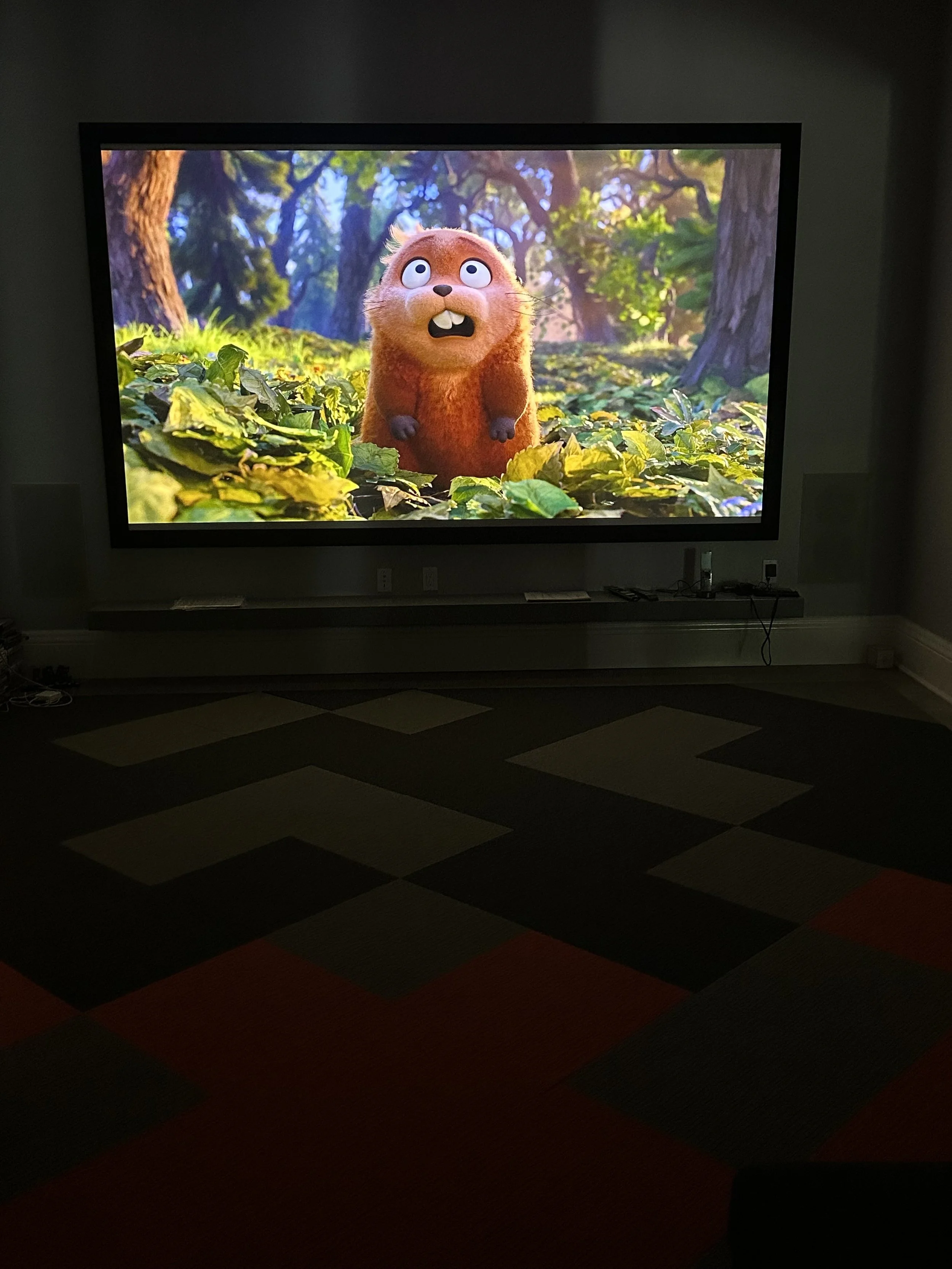 Home Theater with a 133" projection screen and surround sound