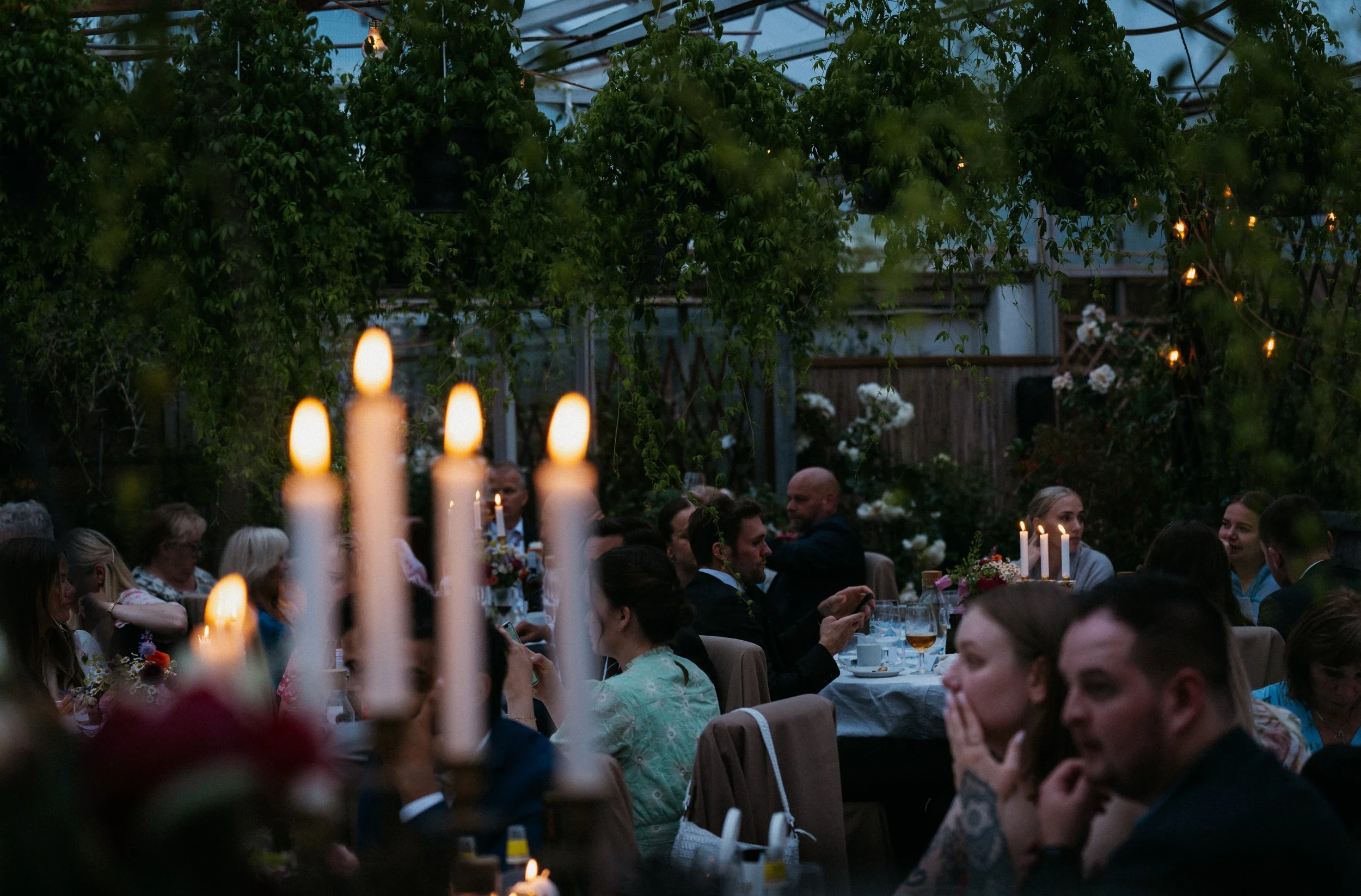 Drivhuset-på-Bærheim-bryllup-middag.jpg