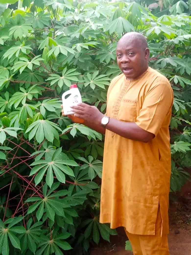 Cassava farm2022-06-11-12-05-48 2.jpg