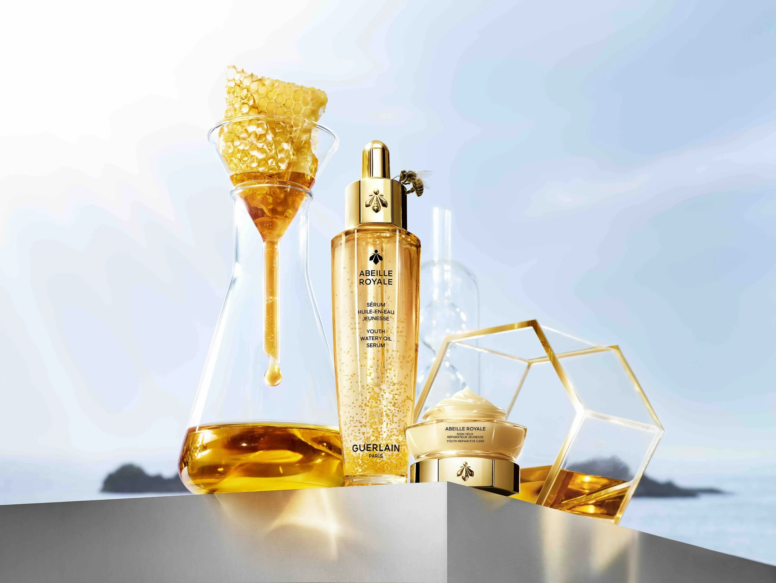 ABRO25_LAB_FOCUS MIEL_2 Packs_RVB.jpeg