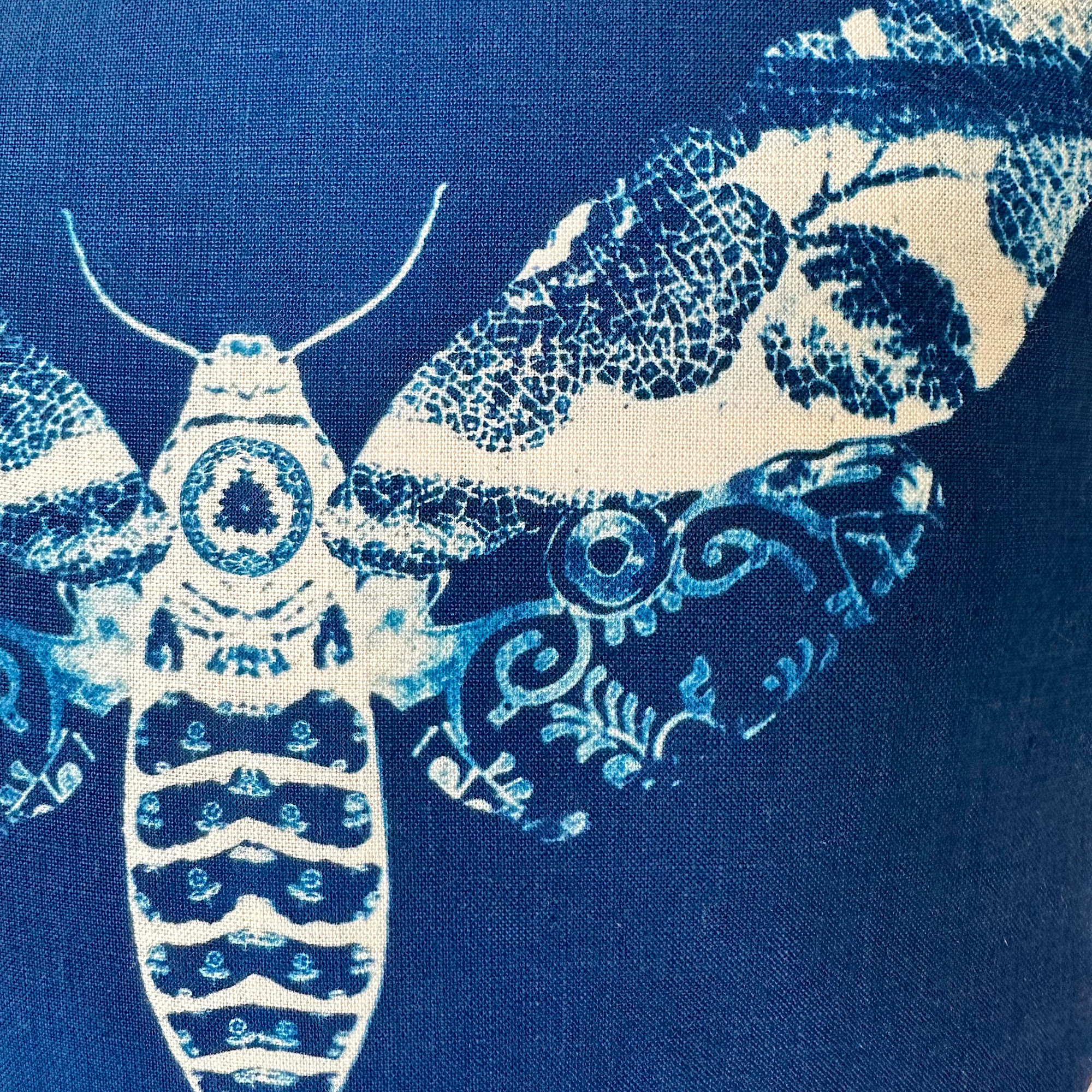 MOTH UPDATE 1.png