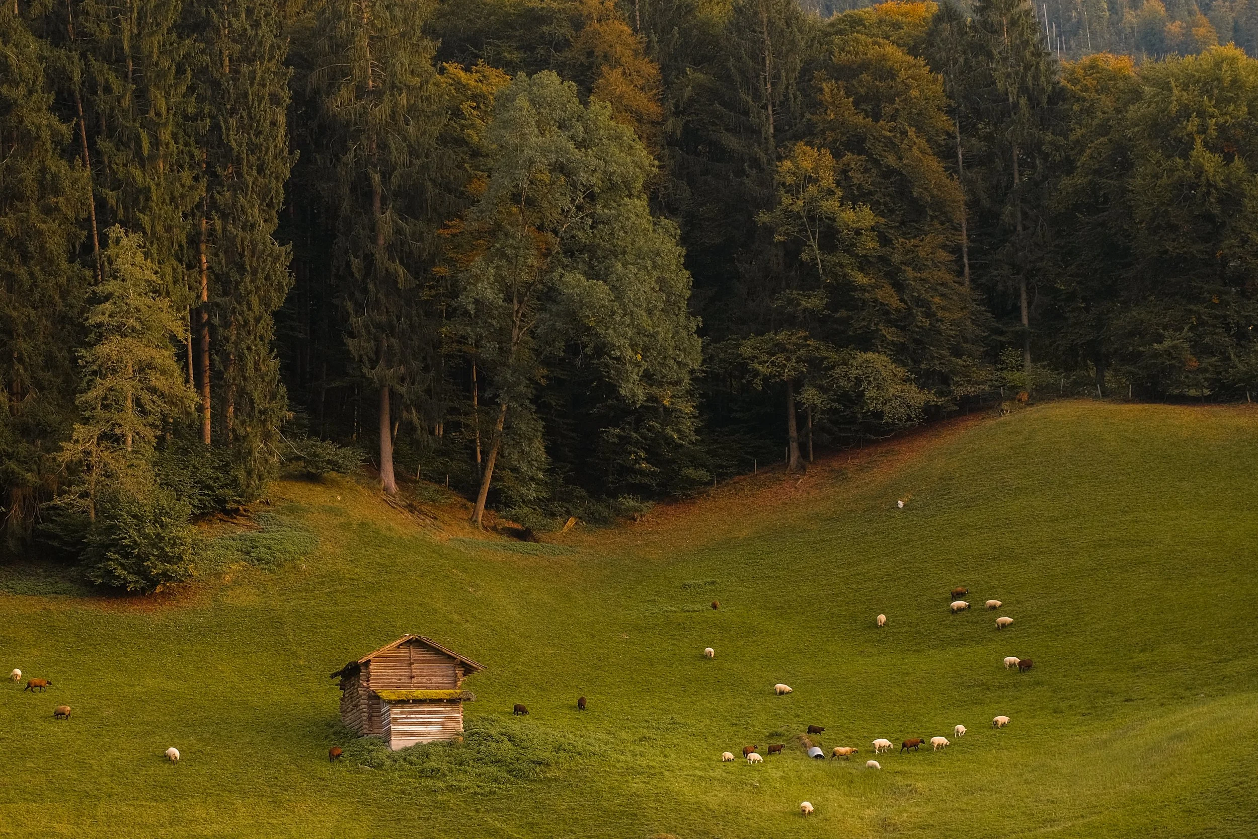 DSCF5513.jpg