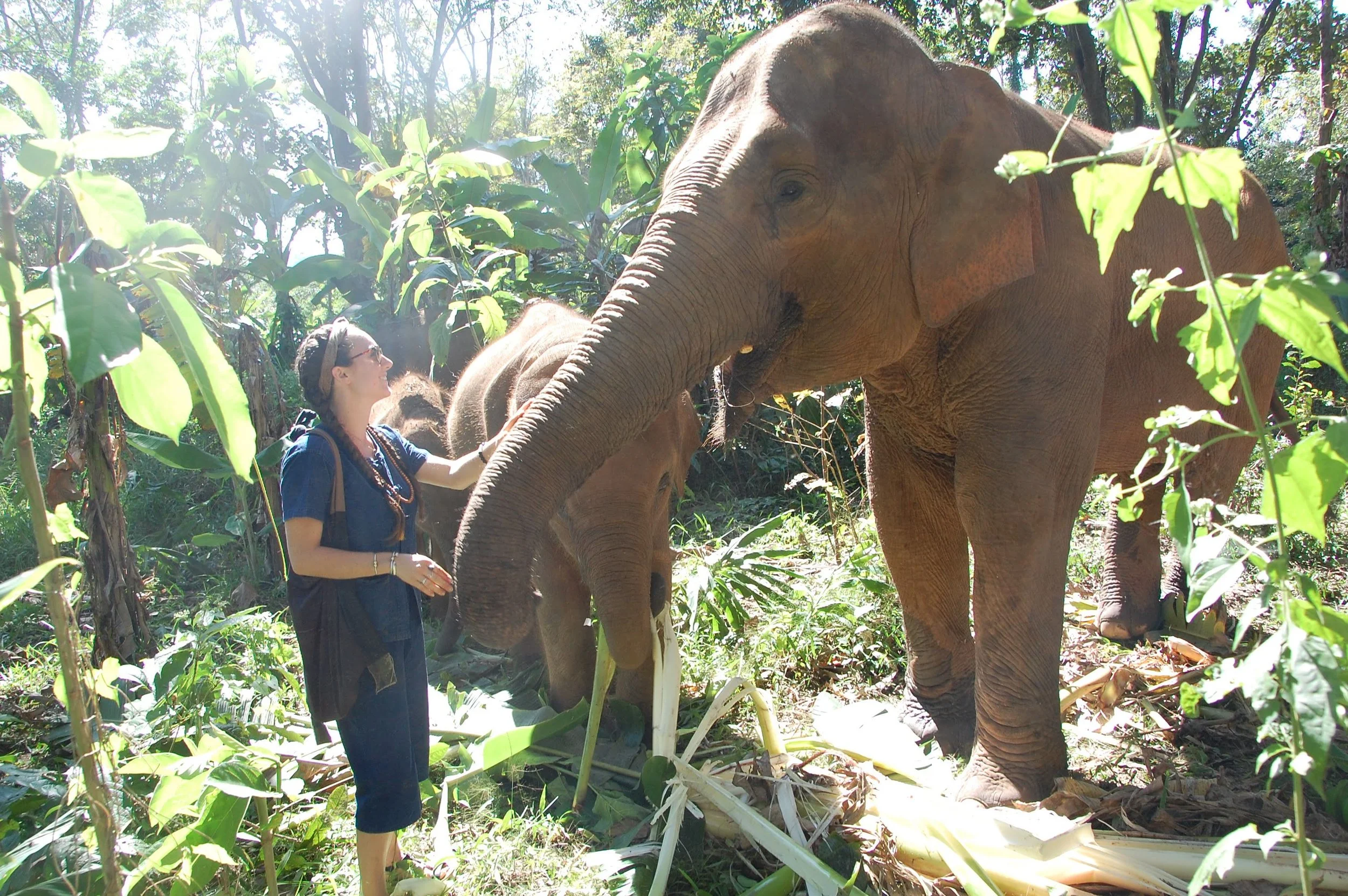 Thailand Retreat Full Pricing (Private Room)