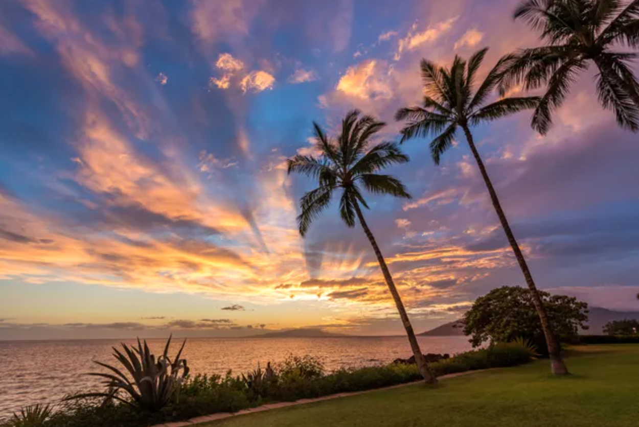 Hawaii Retreat Full Pricing (Private Room)