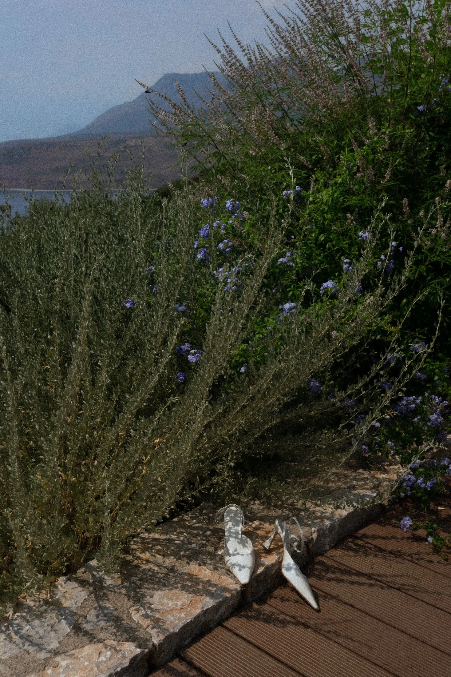 C+P_Wedding Gallery-21.jpg