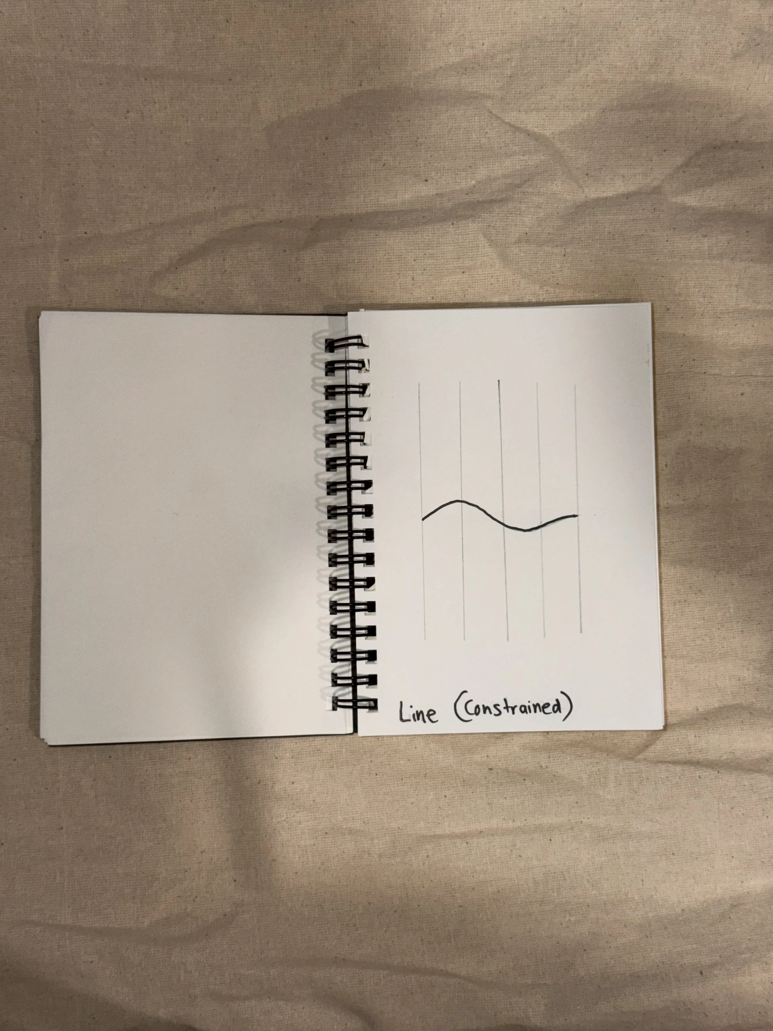 The line shaped by limits rather than choice.