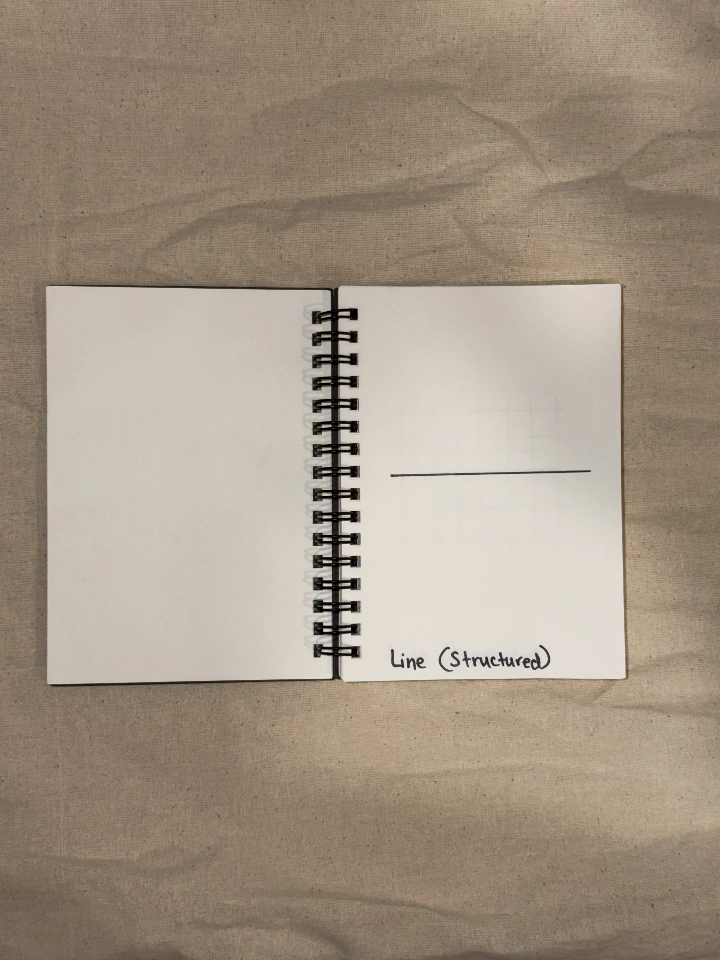 The line organized into a system or framework.