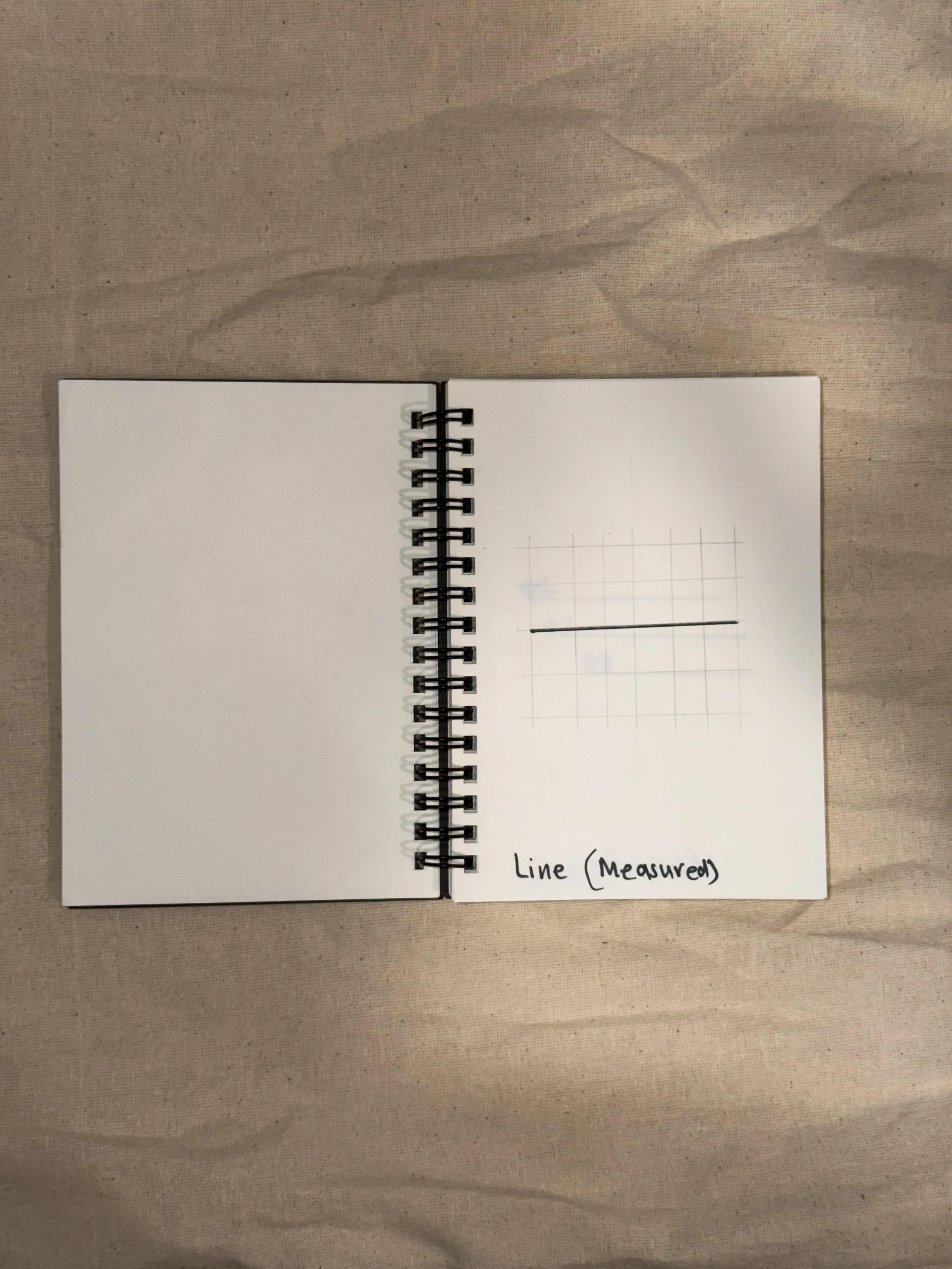 The line introduced to scale, reference, and evaluation.
