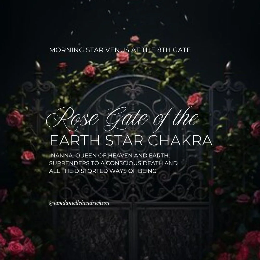 We're in the final moments of Venus in her fiery Morning Star phase...and its a pretty f*cking powerful moment for ALL of us.

I just wrote allll about it on Substack - the links in my bio!

My invitation is to read + BE in the energy of our Sacred F