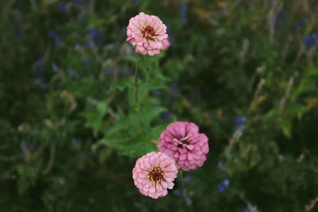 _K6A5749.jpg