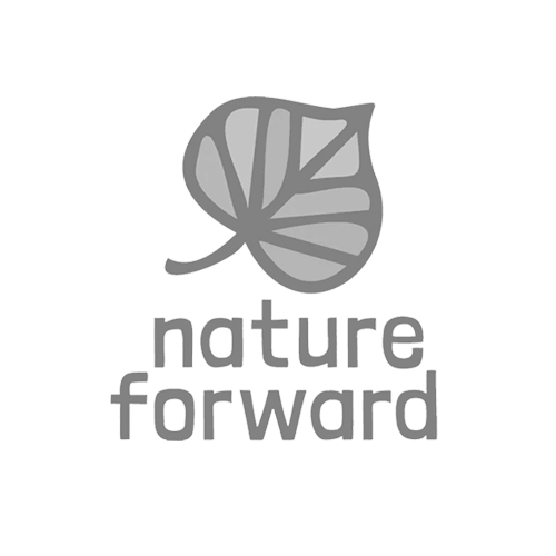 nf-bw-3.png