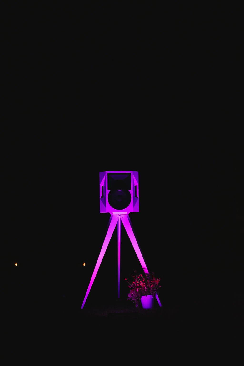 FutureSoundOfNature_2026_06_21_1985.jpg