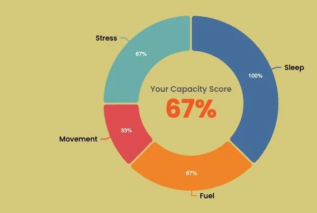Example Capacity score of 67%, with Sleep 100%, Fuel 67%, Movement 33% and Stress 67%.