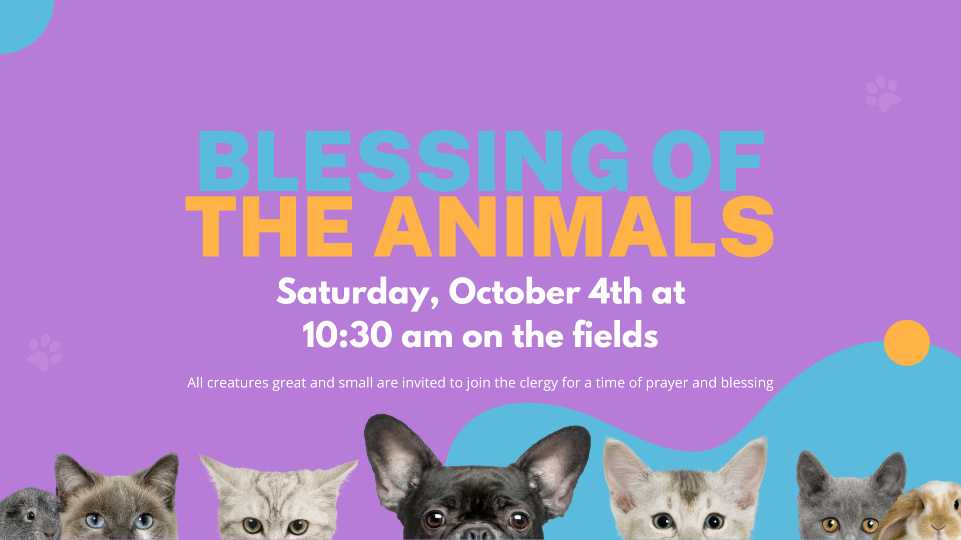 Blessing of the Animals