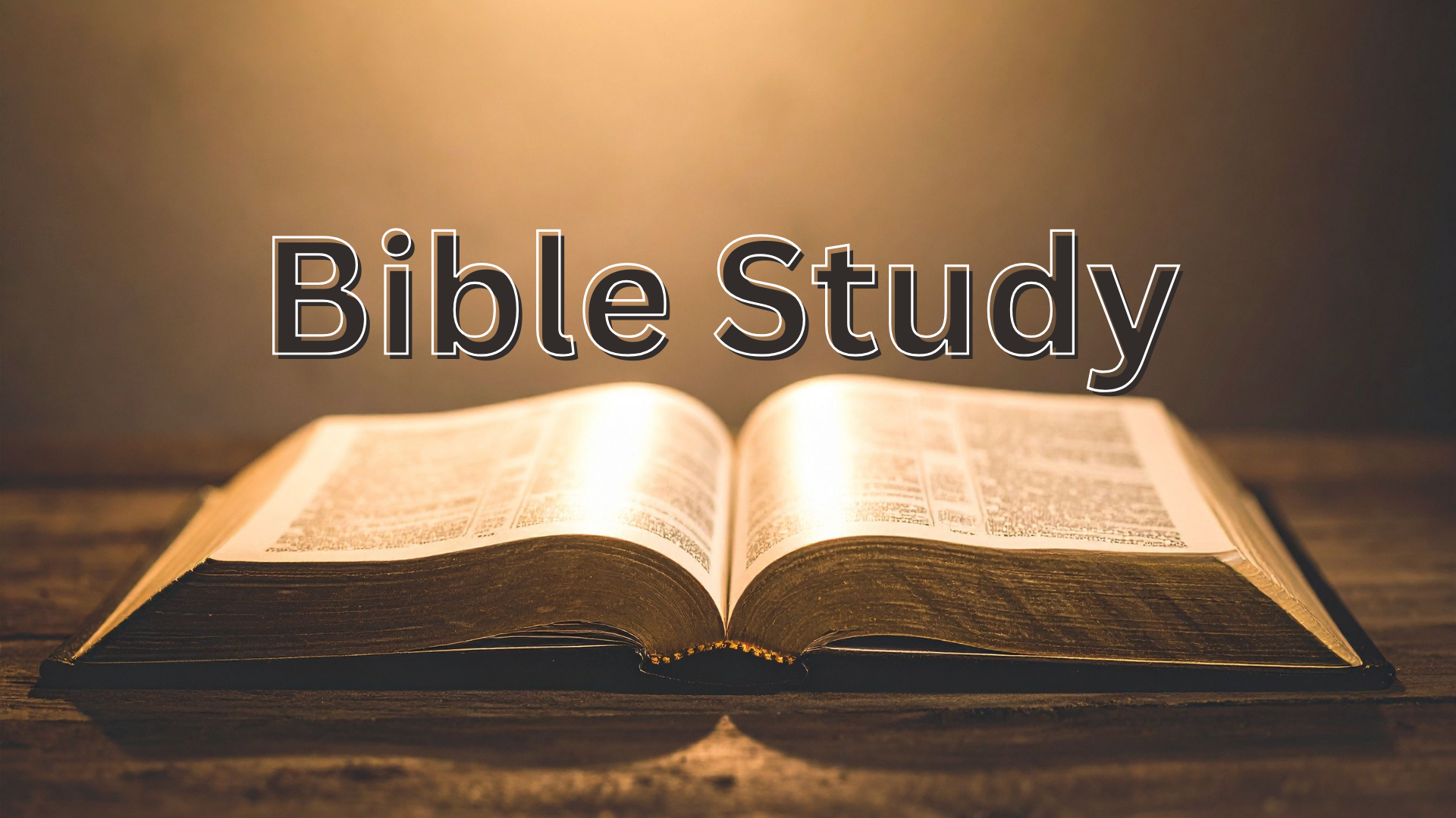 New Bible Study