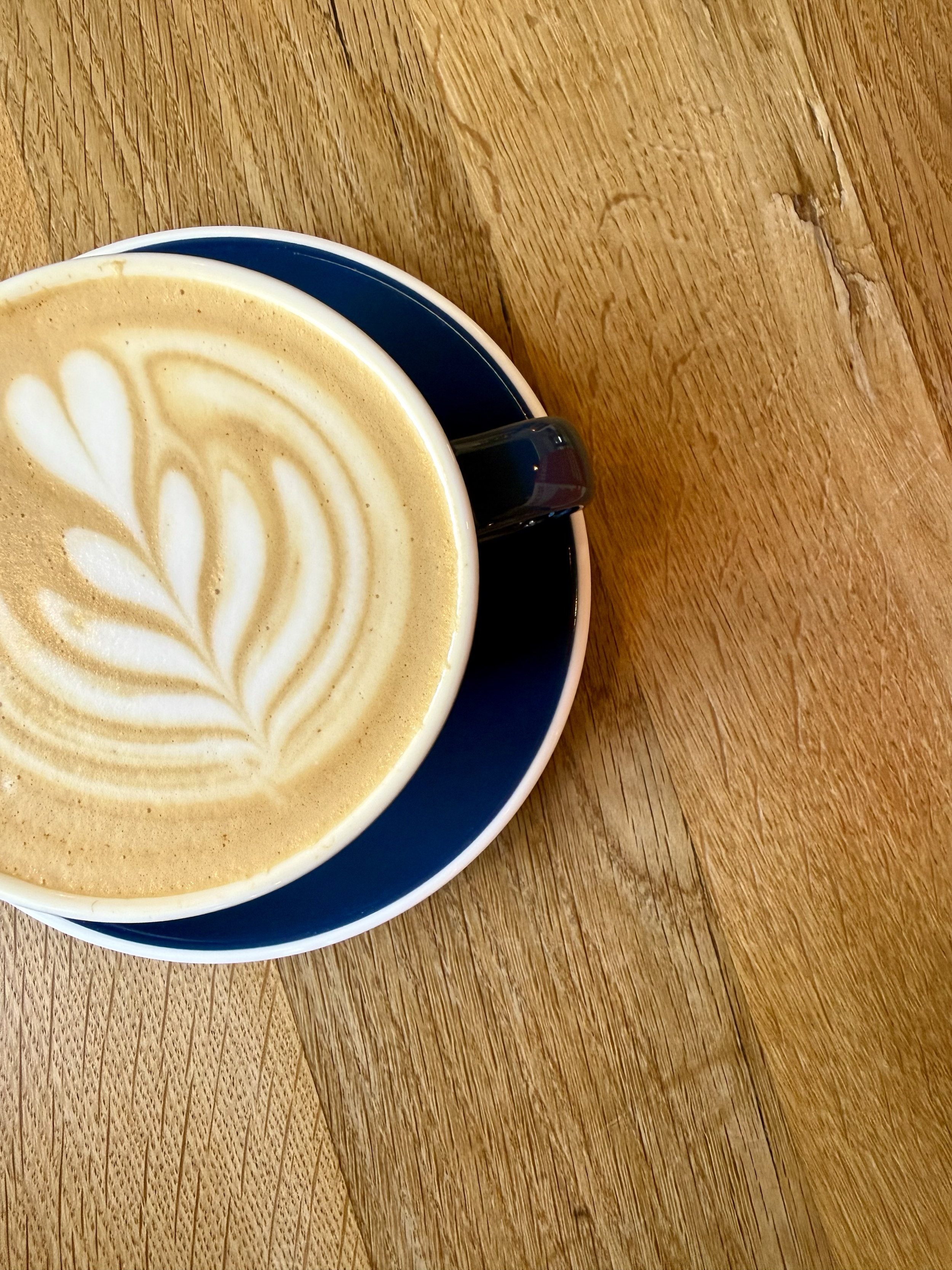Bio Specialty coffee cappuccino