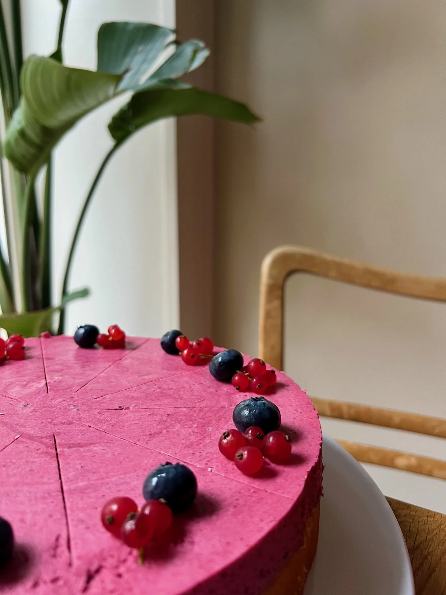 Waldfrucht Kuchen aus frischen Zutaten 