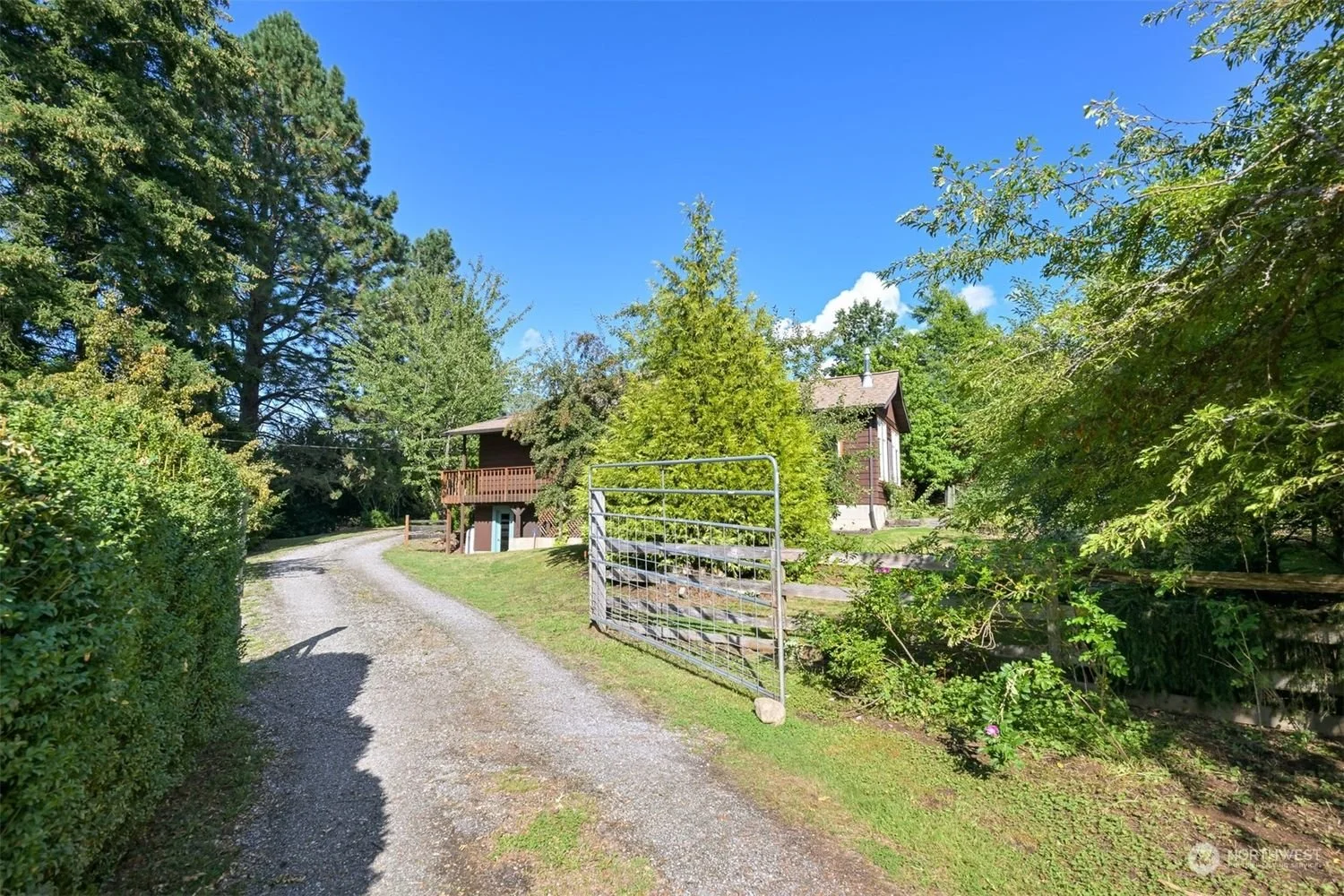 Gravel driveway leading to a wooden house with a porch, surrounded by green trees and bushes on a sunny day.