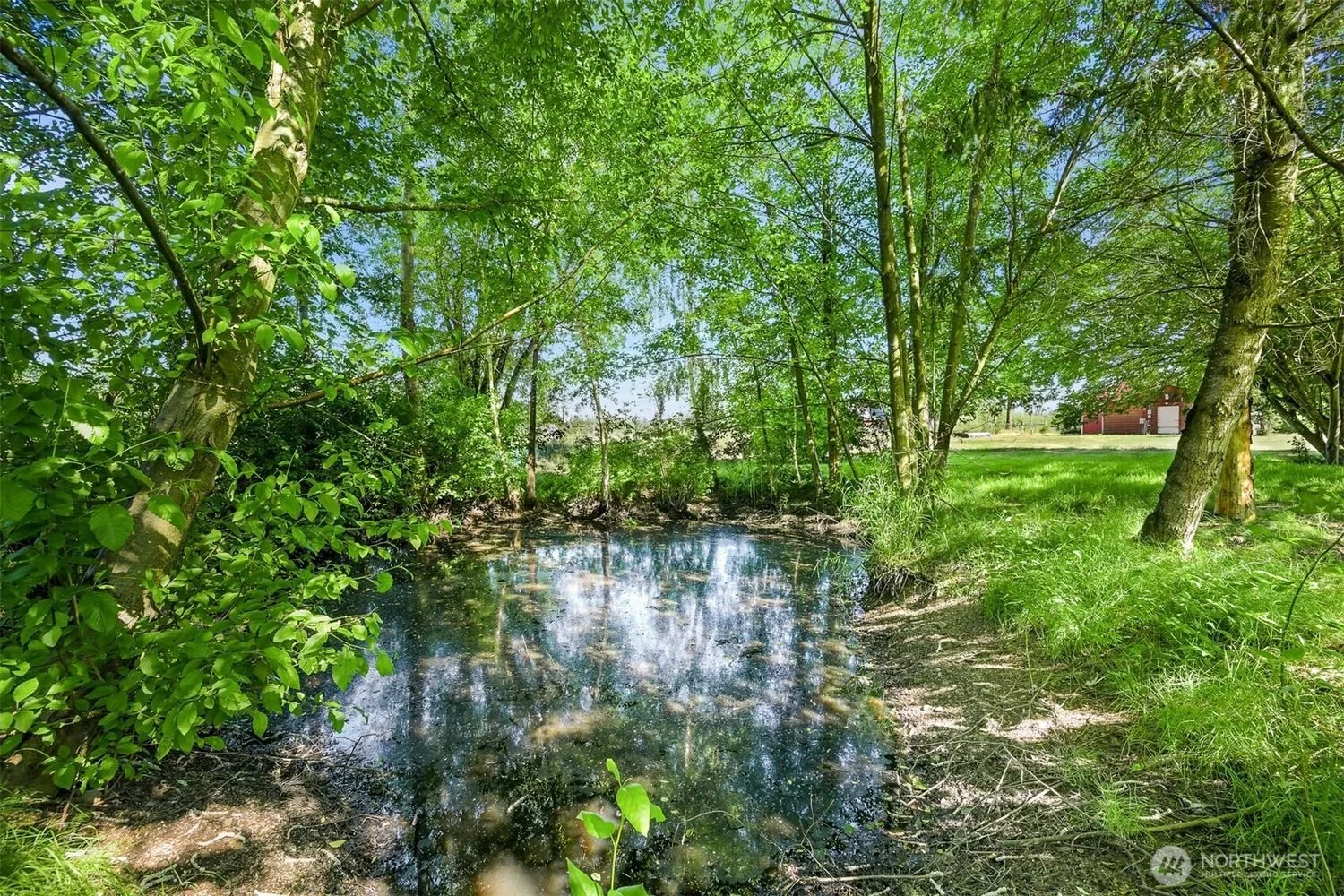 1776-Harksell-Road-Brandon-Nelson-Realtor (2).jpg