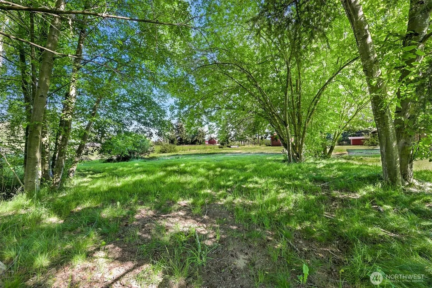 1776-Harksell-Road-Brandon-Nelson-Realtor (1).jpg