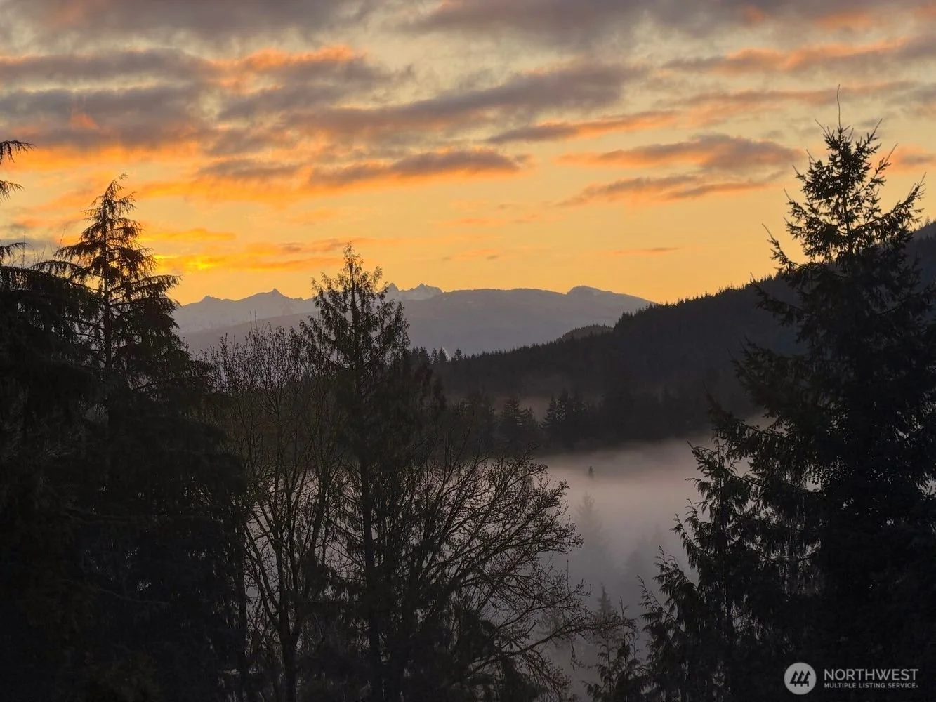 755-Top-Pl_Sedro-Woolley-brandon-nelson (38).jpg
