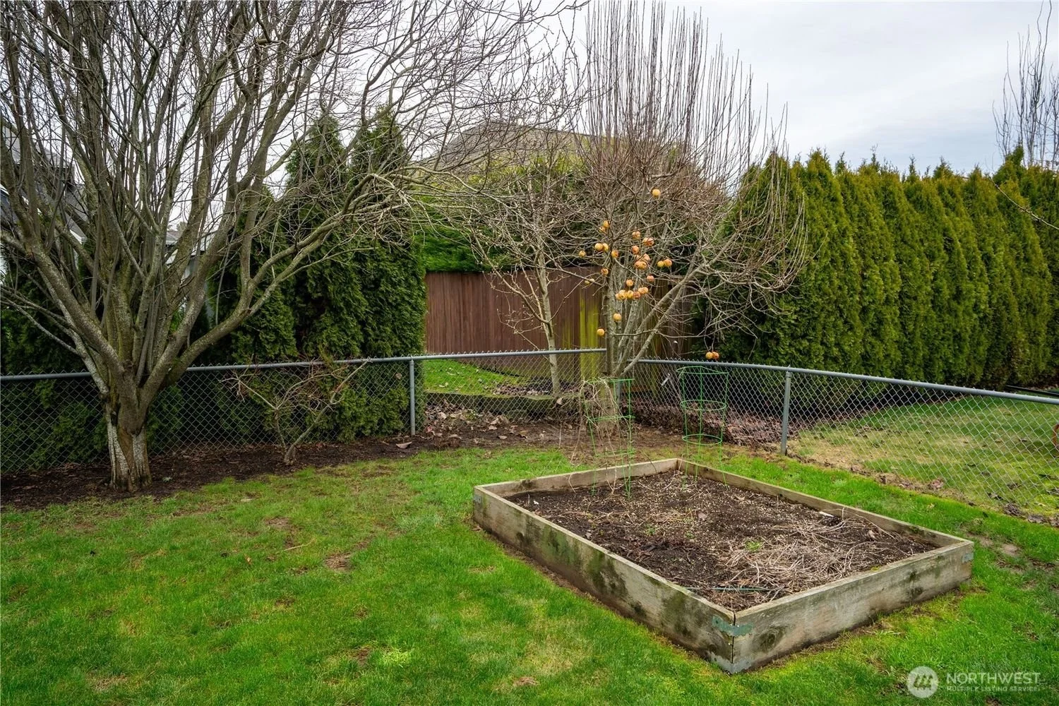 816-cedar-drive-lynden-washington-brandon-nelson-realtor (21).jpg