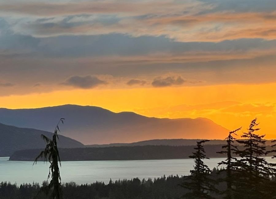 Is the Market Shifting? A Real-Time Look at Whatcom County Housing Trends