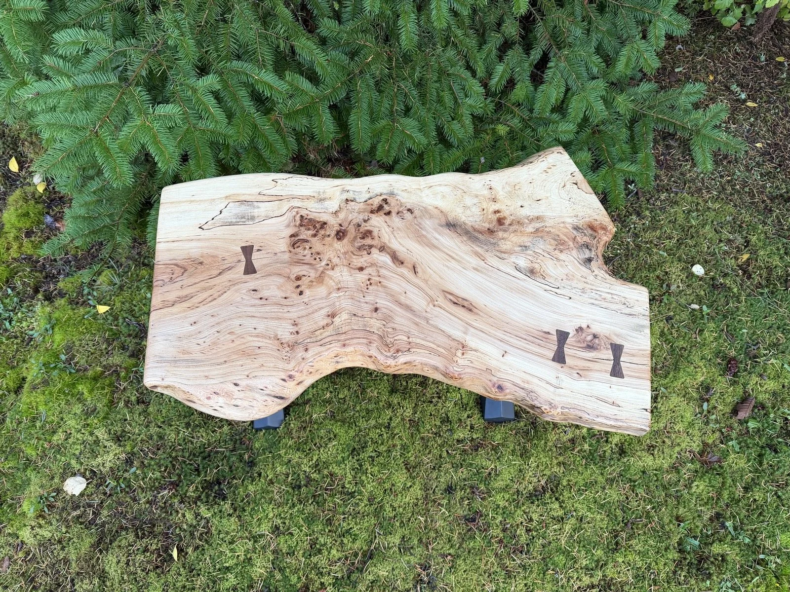 Jazzy's live-edge Big Leaf Maple table, with flowing grain, three walnut butterfly keys and black steel legs.